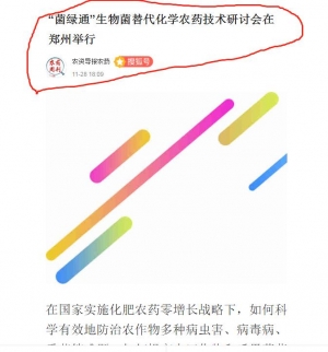 2019搜狐新聞