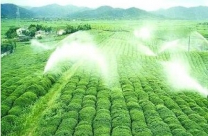 農藥殺菌劑是目前農業市場較為流行的一種農藥品種